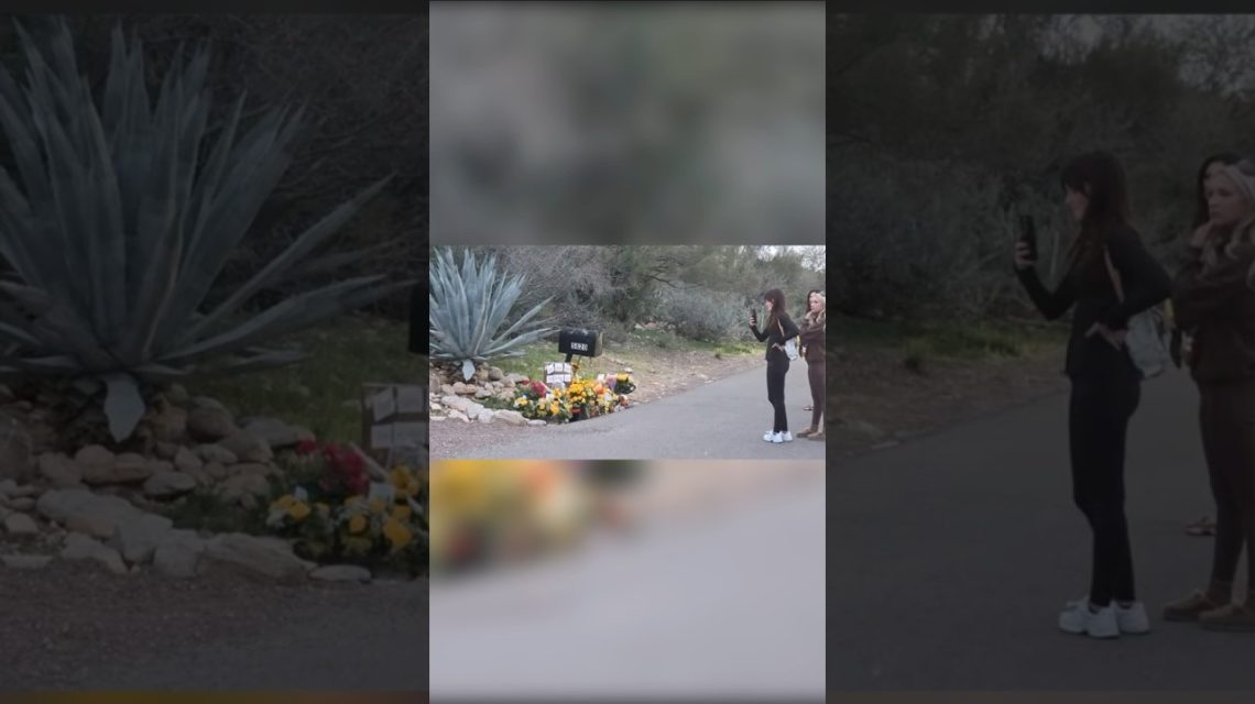 1771422113 maxresdefault.jpg