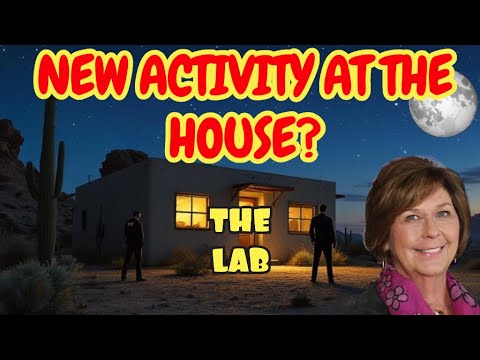 1772132346 hqdefault.jpg