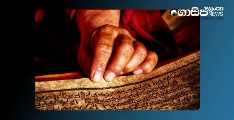 AEn0k sni7tokTTCCotiJ8U7qJHSExcXX7dOin0Yjxq8Zz9T fcCYZe7JcBfofKYIjL28mz49qDSbAAZ3X8aBvnCCpQy0XesUOxo.jpeg