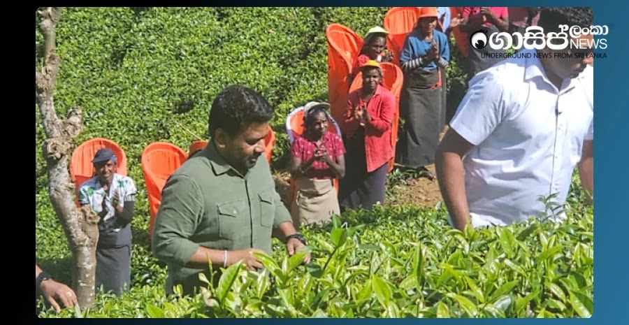 AEn0k uzj28uQHUkjfolTI61M34Mw9gexsYjecWJ0HKZGh9A4 gv86X NOFLY9vYKQUgtAdYPVMqOAwvFaDTRo5YZpBt1DRl4TRl.jpeg