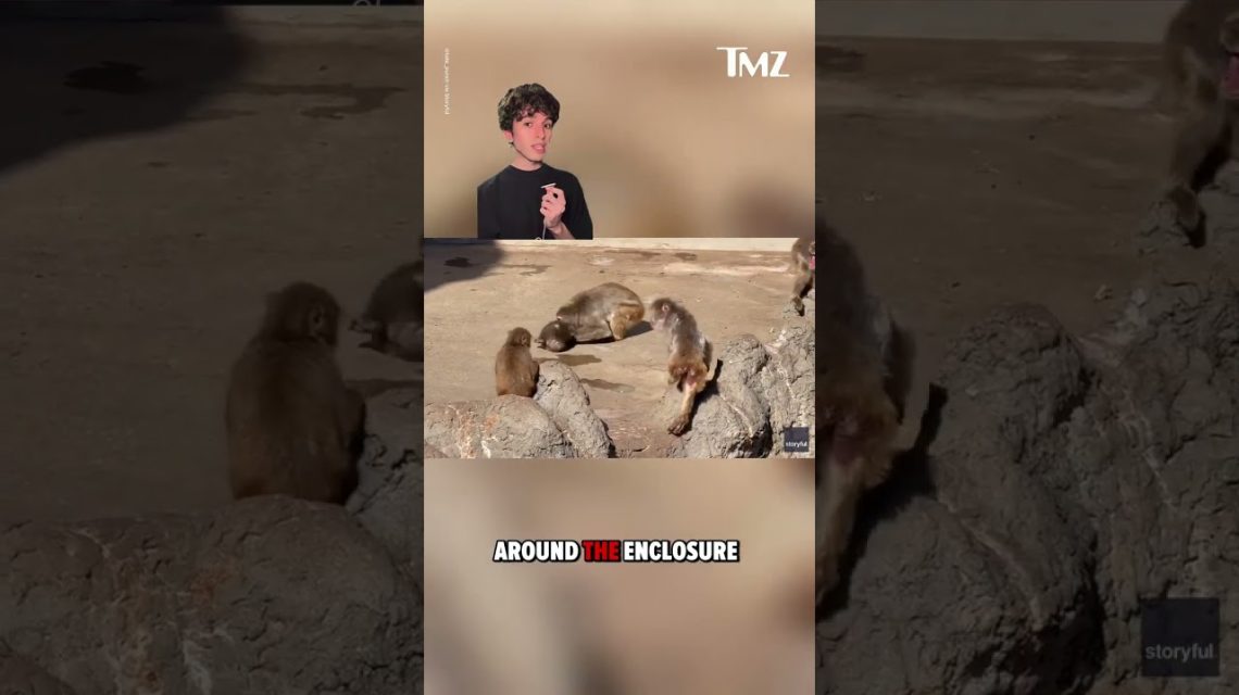 1772505261 maxresdefault.jpg