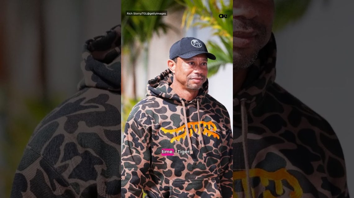 1775262427 maxresdefault.jpg