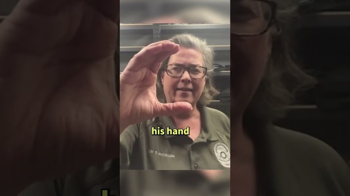 1775667582 maxresdefault.jpg